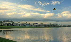 kissimmee movers